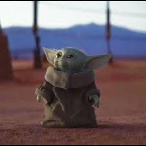 Meet your Posher, Gavin